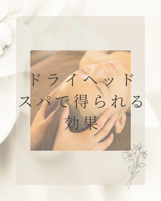 画像293