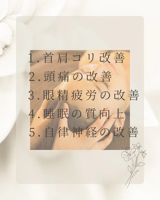 画像294